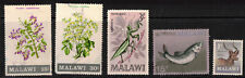 Malawi collection lot for sale  Williamsport