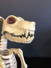 Skeleton dog. ref for sale  LONDON