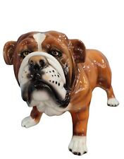 56535 bulldog inglese usato  Bracciano