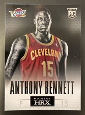 Anthony bennett 2013 d'occasion  Saint-Jeannet