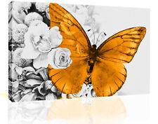 Orange butterfly grey d'occasion  Expédié en Belgium
