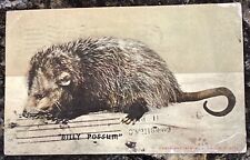 Postcard opossum didelphis for sale  Charlotte