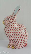 large hare for sale  UK