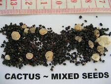 Mixed cacti seeds for sale  BRISTOL
