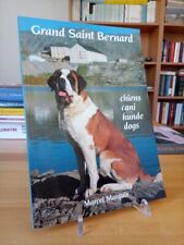 Grand saint bernard usato  Vo
