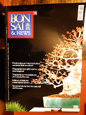 Bonsai news novembre usato  Garlasco