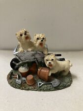 Westie dogs playing for sale  SHANKLIN