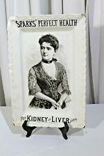 BANDEJA PUBLICITÁRIA ANTIGA tônica renal Mrs.Frances Cleveland Ironstone Sparks comprar usado  Enviando para Brazil