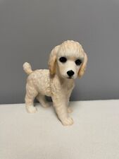 Lenox puppy poodle for sale  Allendale