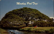 Monkey pod tree for sale  Sandusky