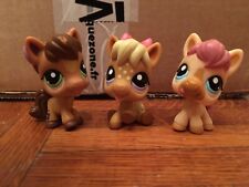 Littlest pet shop d'occasion  Paris XX