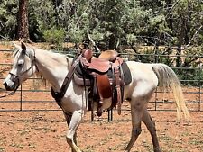 Clinton aussie saddle for sale  Rowe