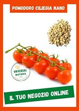 100 semi pomodoro usato  Reggio Calabria