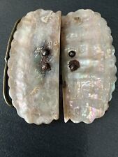 Victorian mother pearl for sale  LIVERPOOL