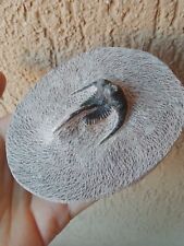 Fossili raro trilobite usato  Pontedera