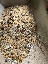 Custom blend seed for sale  Pikeville