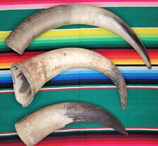 raw cow horns for sale  Deer Park