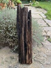 46cm character driftwood for sale  BRAINTREE