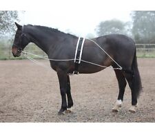 Shires lunging aid for sale  ALFORD