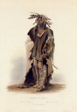 Sioux indian warrior for sale  Cambria