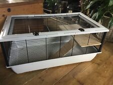cage rat for sale  BIGGLESWADE