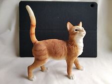 Leonardo ginger cat for sale  THETFORD