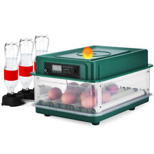 36x eggs fully for sale  LICHFIELD