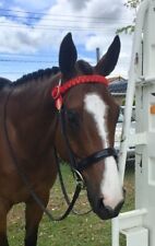 horse browbands for sale  WARWICK