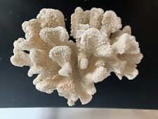 Coral natural white for sale  Frederick