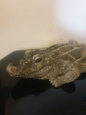 Unusual crocodile aligator for sale  KING'S LYNN