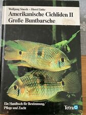 Amerikanische cichliden große gebraucht kaufen  Gablingen