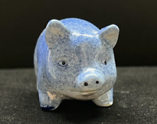 Mini pig blue for sale  Fresno