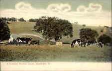 Randolph vermont pasture for sale  USA
