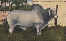 Postcard cow emperor for sale  Collegeville