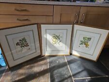 Vintage Floral Botanical Framed Art Prints for sale  Shipping to South Africa