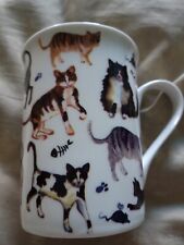 Cats themed china for sale  EYE