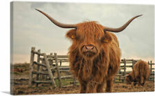 Artcanvas highland cow for sale  Niles