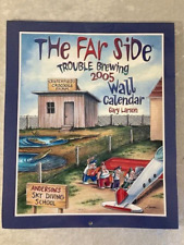 Far side trouble for sale  Robesonia