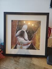 Boston terrier picture for sale  MIRFIELD