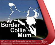 Border collie mum for sale  Shipping to Ireland