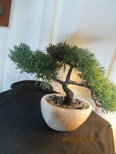 Beautiful faux bonsai for sale  Rockingham