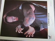 Undertaker wwe riginal gebraucht kaufen  Bernau