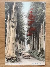 Cartão postal foto colorida antigo CRYPTOMERIA ROAD, NIKKO, JAPÃO c1910 comprar usado  Enviando para Brazil