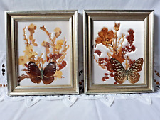 Framed butterflies floral for sale  Summit Hill