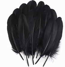 Black craft feathers for sale  Sun City Center