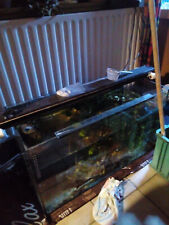 Verschenken aquarium 80x45x35 gebraucht kaufen  Wetter (Ruhr)