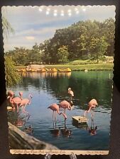 POSTCARD: Goldfish Boat Train Ride On Flamingo Lake Tuxedo New York H8 ￼ for sale  Shipping to South Africa