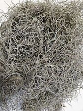 Dried spanish moss for sale  Jacksonville