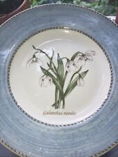 galanthus snowdrop for sale  NEWPORT