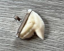 Pendentif dent requin d'occasion  Châtres-sur-Cher